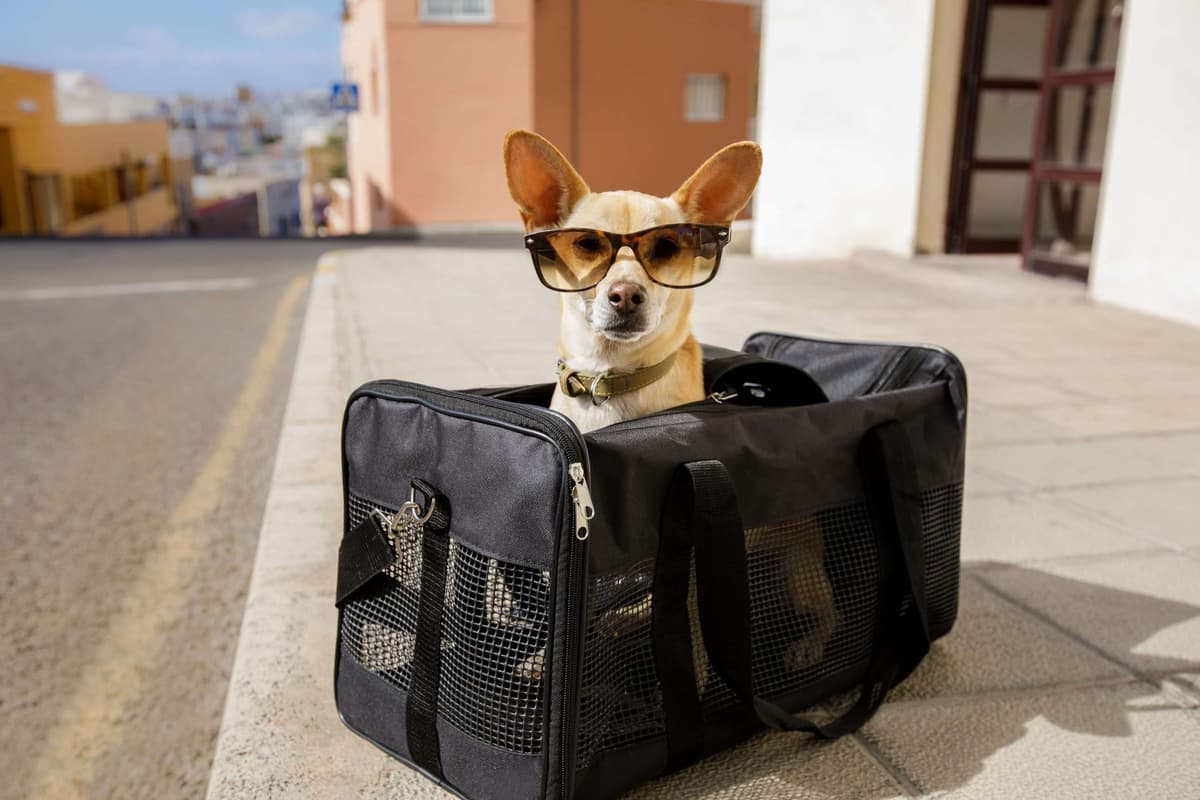 First Time Working Internationally? 7 Things to Consider